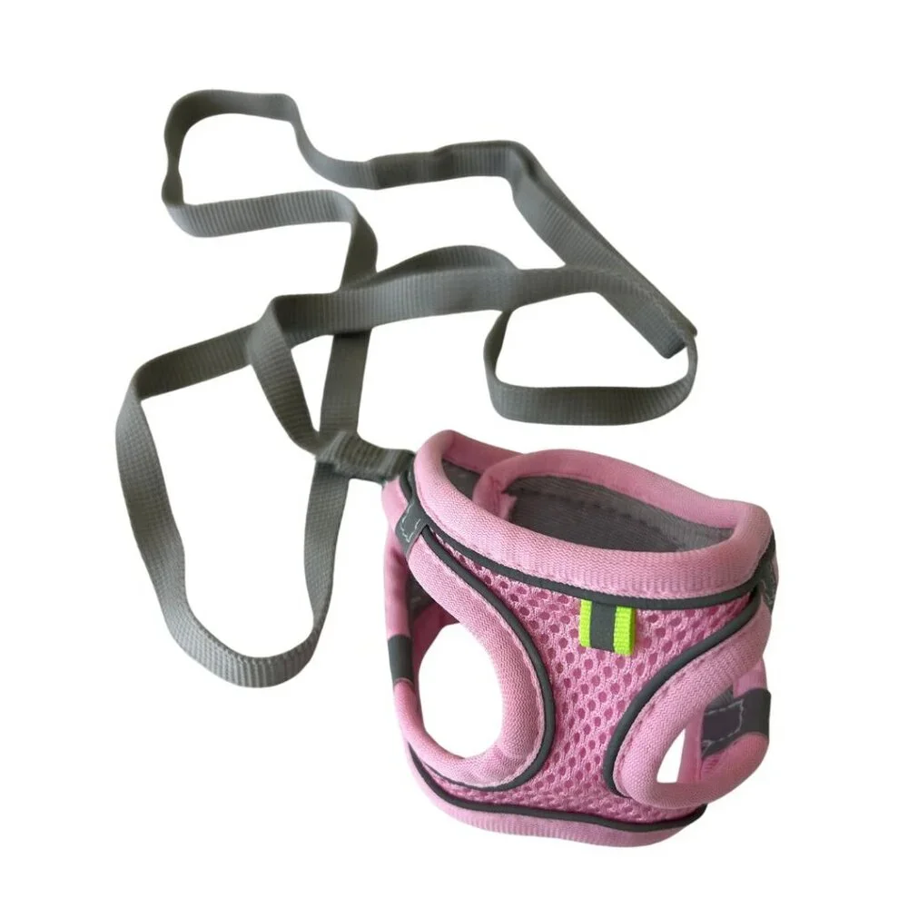 Sport Pet Hard Sided Travel Pet Carrier with XXS Cat Harness & Leash